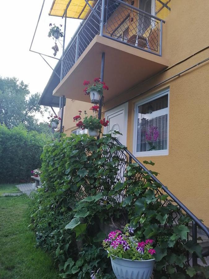 Casa De Oaspeti Orso Sovata Luaran gambar